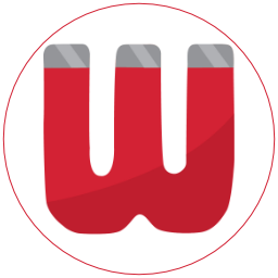 WebToolToys Logo